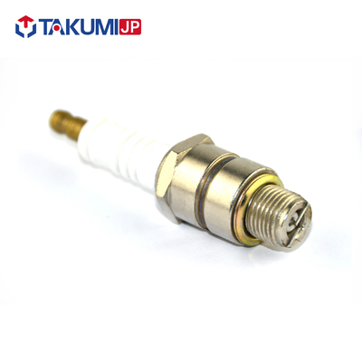 BERU 14R-5BIU/STITT R2SGA40L için İyi Performanslı Jeneratör Bujisi