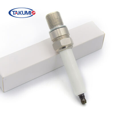 OEM Alternatif Endüstriyel Çakma, Jenbacher Gaz Motoru için M18x1.5 Fil Flat Seat Tip ve Özel Elektrot Tasarımı